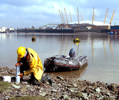 Physalia Macrofaunal Core Survey on the Thames Foreshore